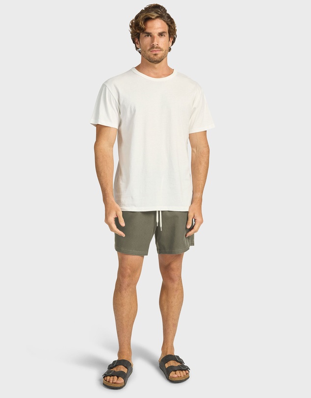 Academy Brand - Teamster Boardy