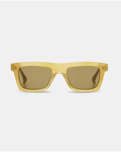 AM Eyewear - Steeb