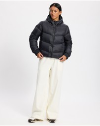 Patagonia - Sindit Hoodie Jacket