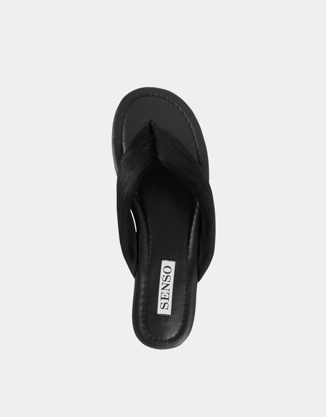 Senso - Hunter II
