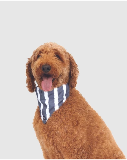 Mog & Bone - Dog Bandana - Charcoal Hamptons Stripe