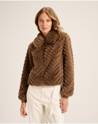 Review - Susannah Jacket