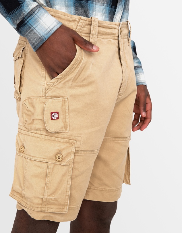 Element - Source Cargo Shorts
