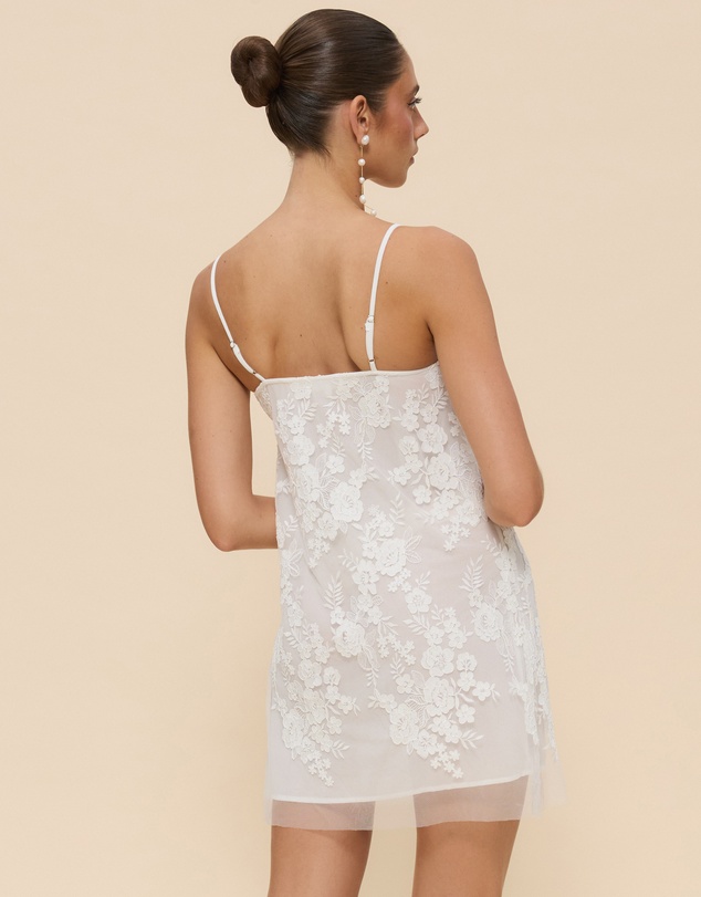 CHANCERY - Sierra Sheer Lace Mini Dress