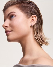 Daniel Wellington - 3-Link Earrings
