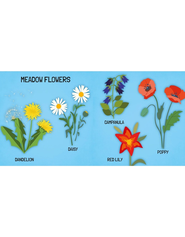 Sassi - Learn all about The Flowers 3D Puzzle and Book Set 40 Pieces