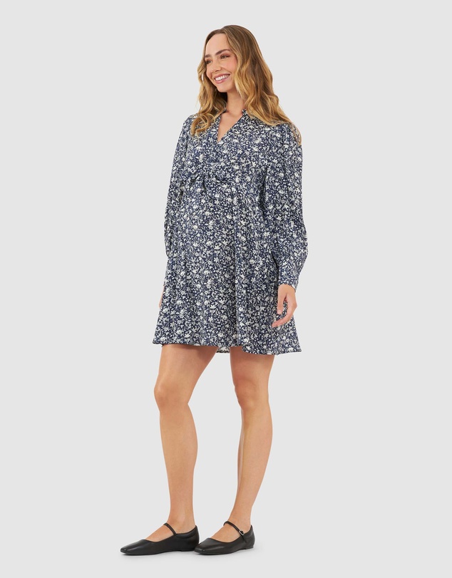 Ripe Maternity - Thea Dress