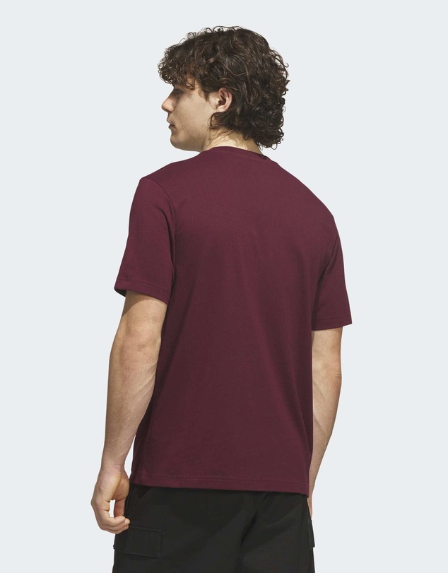 adidas Sportswear - Varsity Tailsweep Graphic T-shirt Mens