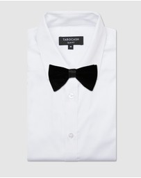 Tarocash - Maverick Velvet Bow Tie