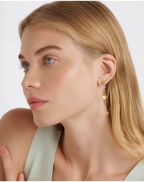 Ted Baker - HELIN: Flutter Heart Drop Earrings