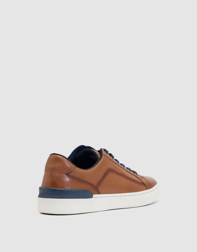 Oxford - Brampton Leather Sneaker