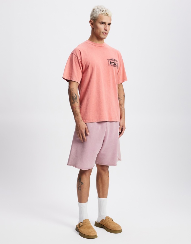 Aries - Aged Ancient Temple SS Tee