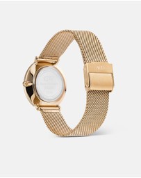 Daniel Wellington - Crystalline Bezel Evergold