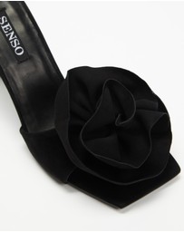 Senso - Harlow