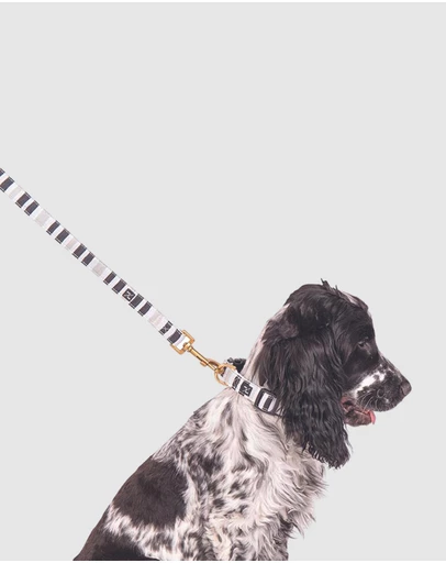 Mog & Bone - Classic Hemp Lead - Pebble Black Brush Stroke Print