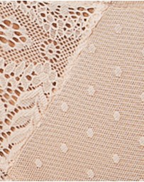 Parfait - Mia Sheer Mesh & Lace Hipster Brief