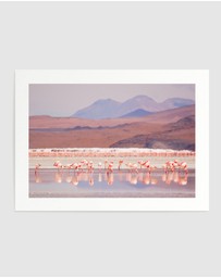 Olive et Oriel - Flamingos Art Print