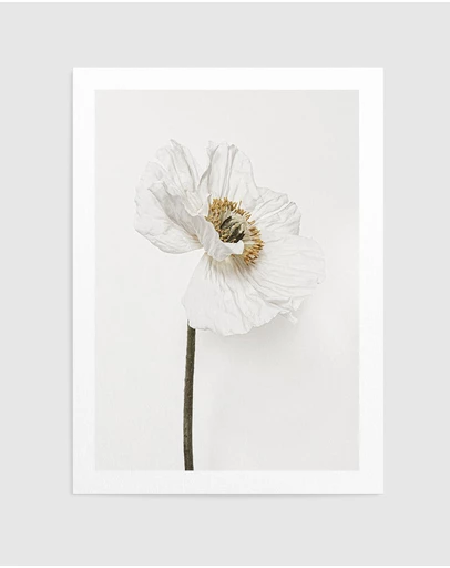 Olive et Oriel - White Poppy II Art Print