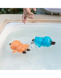 Tiger Tribe - Bath Racers - Platypuses