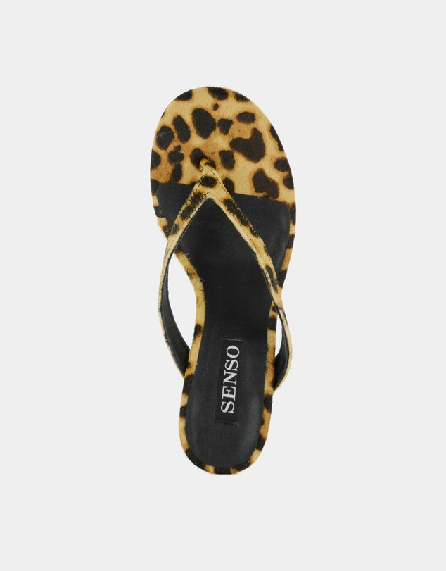 Senso - Farah II