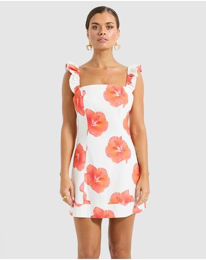 Hibiscus