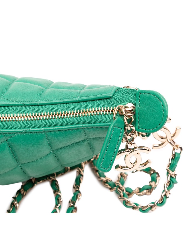Pre-Loved by Azura Reborn - Pre-Loved Small Quilted Lambskin Chain Around Hook Hobo Bag