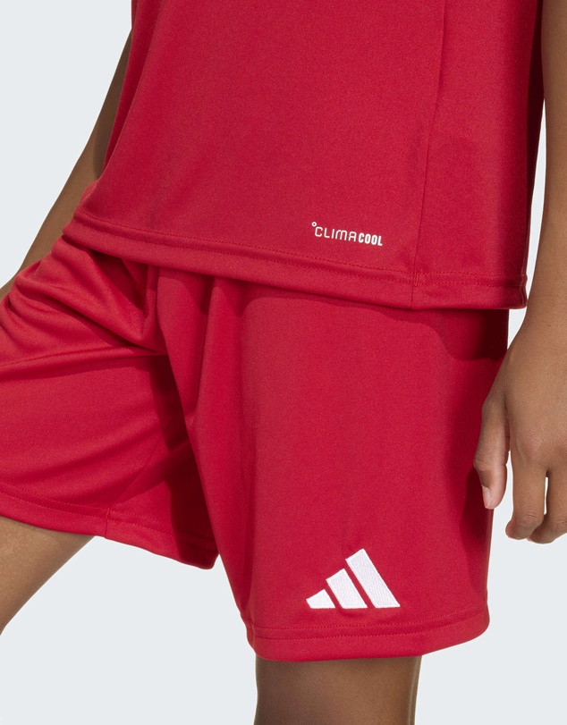 adidas Performance - Entrada26 Football Jersey Kids