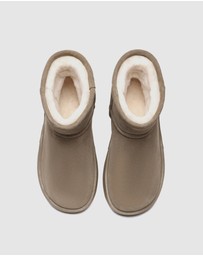 EVERAU - Australian Shepherd Ugg Salma Mini Cow Suede Upper UGG Boots