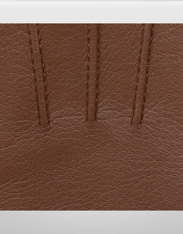 DENTS - Emma Three-Point Leather Gloves
