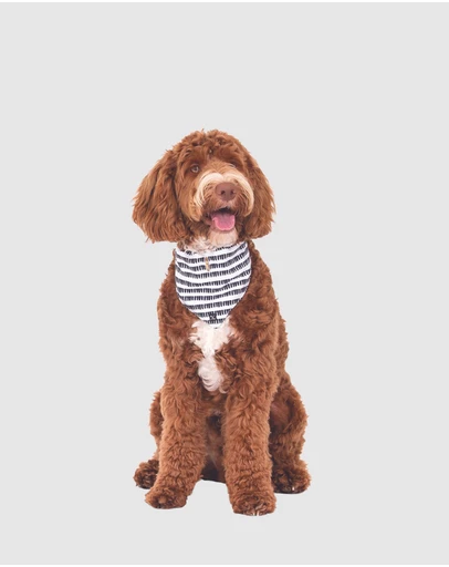 Mog & Bone - Dog Bandana - Black Mosaic Print