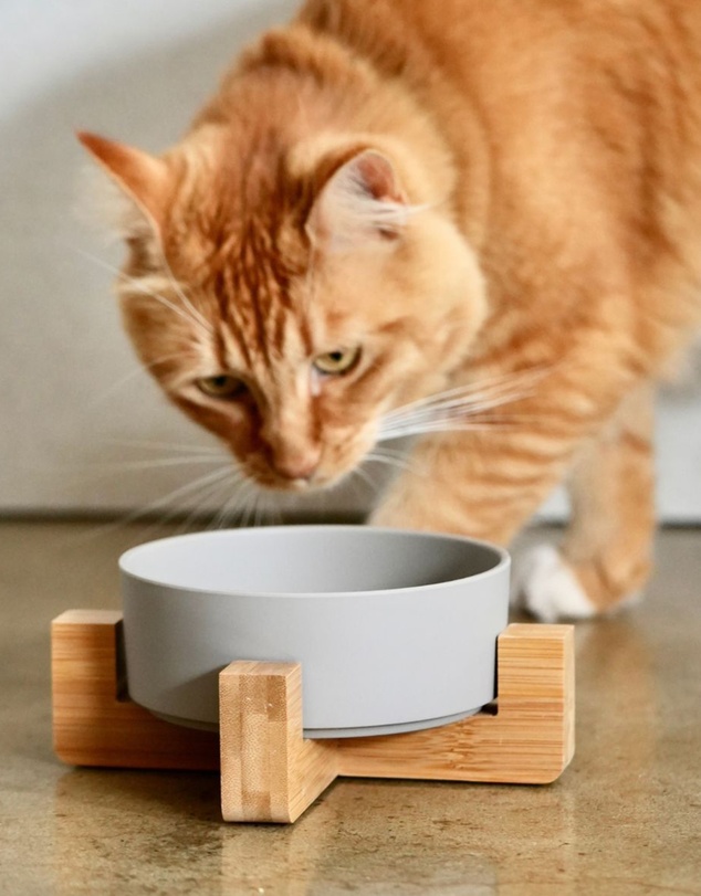 Mog & Bone - Single Bamboo Cat Bowl Mocha