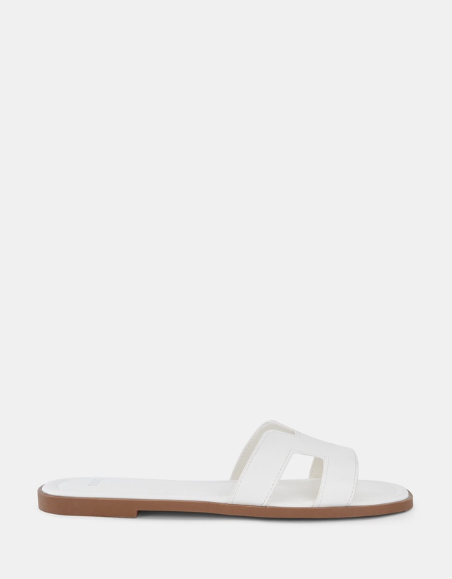 Novo - Sachie Slides
