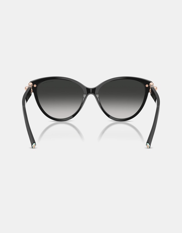 Tiffany & Co. - 0TF4261