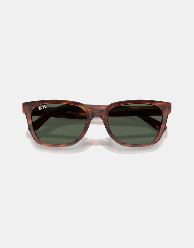 Ray-Ban - 0RB2243D