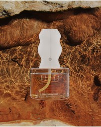 Black Blaze - Bush Walk Sculpture Diffuser
