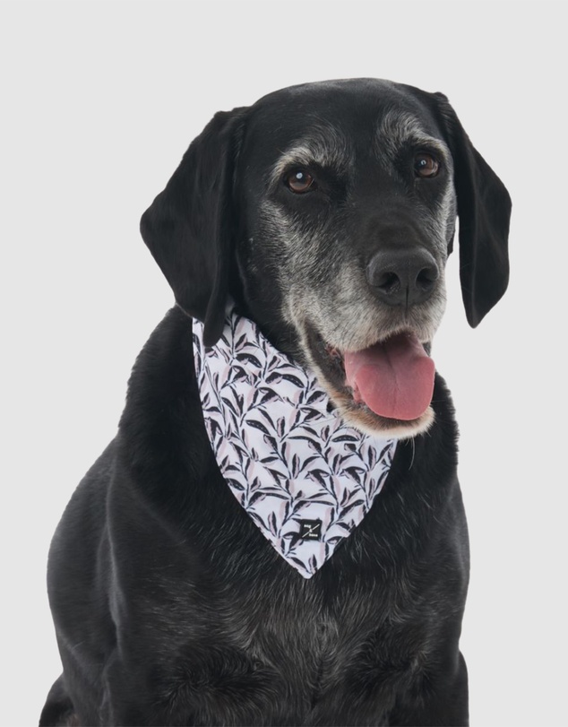 Mog & Bone - Dog Bandana - Shadow Quartz Print