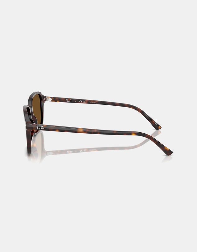 Ray-Ban - Raimond