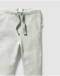 Wilson & Frenchy - Organic Stripe Rib Leggings - Babies