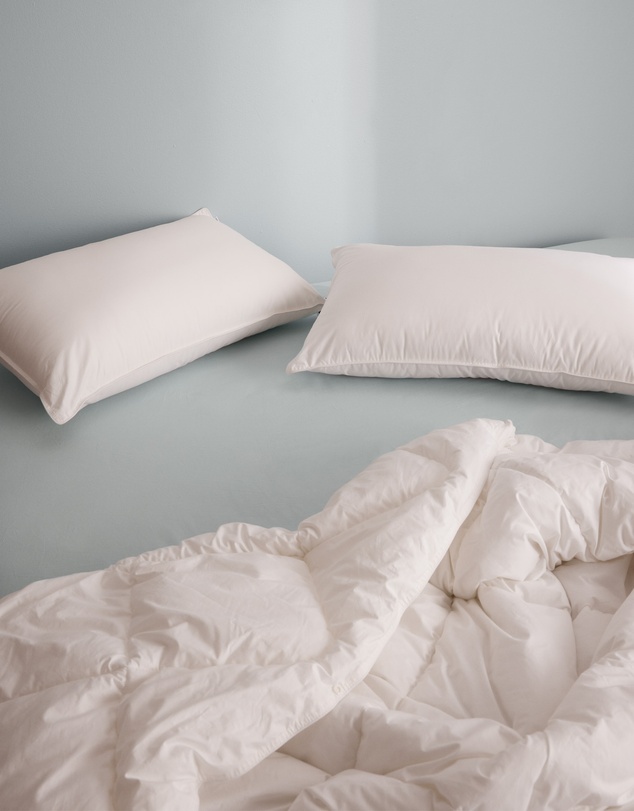 Sheet Society - Cloud Corn Medium & Firm Pillow