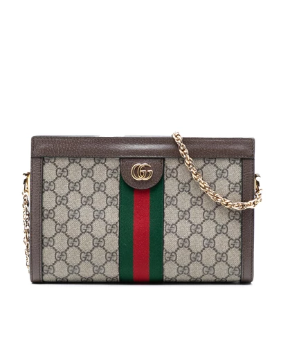 Pre-Loved by Azura Reborn - Pre-Loved Small GG Supreme Web Ophidia Chain Crossbody