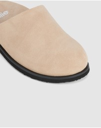 Rollie - Mills Mule Flat