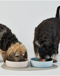 Lilly + Dash - Dog Food Water Ceramic Bowl