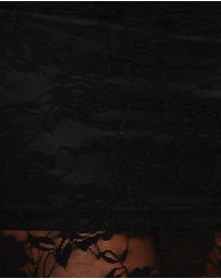 Petal & Pup - Laken Sheer Lace Maxi Skirt - Black
