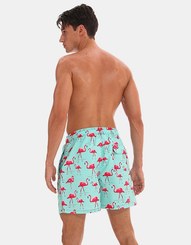 Vacancy Co - Lingo Swim Short
