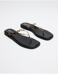 Dazie - Ruby Tortoiseshell Thongs
