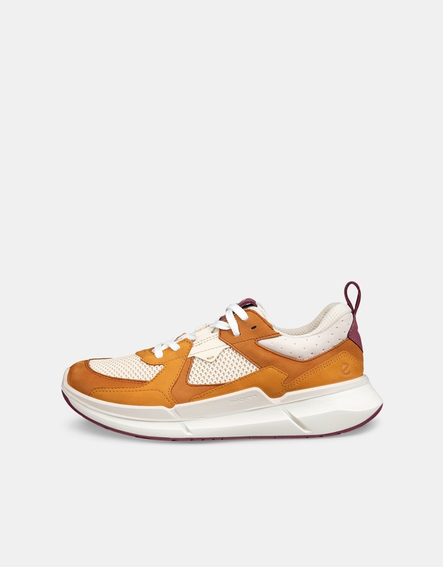 ECCO - ECCO Biom 2.2