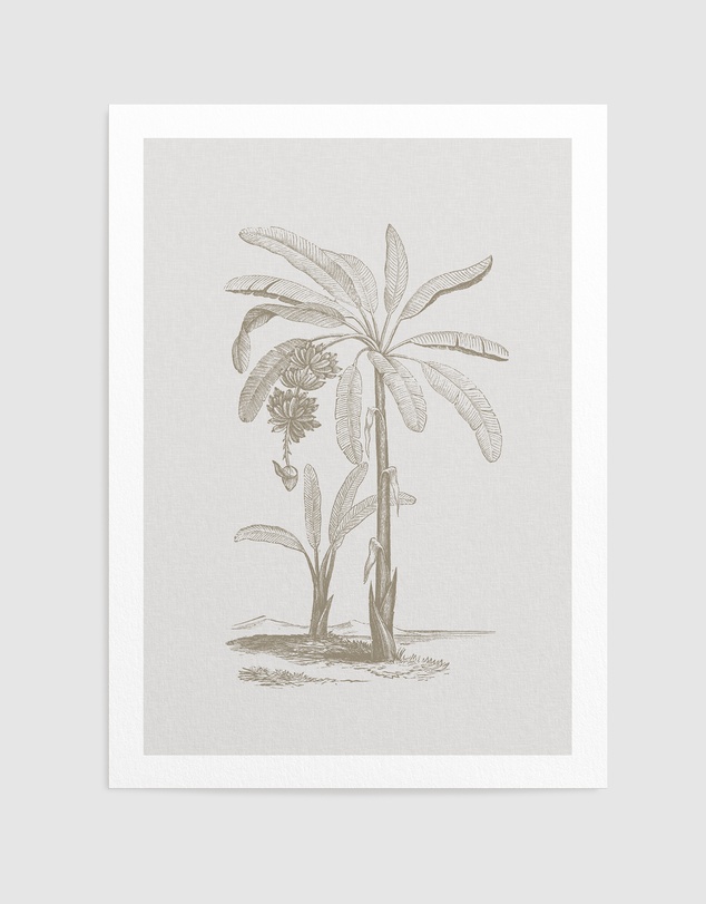 Olive et Oriel - Vintage Palm I Art Print