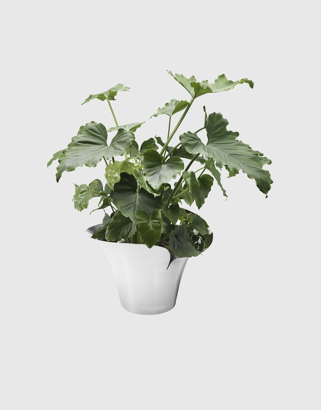 Georg Jensen - Bloom Botanica Flower Pot, Large
