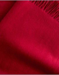 & Other Stories - Fringed Wool Blanket Scarf