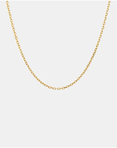 Zoe Olivia - 14K Gold Vermeil Belcher Chain Necklace